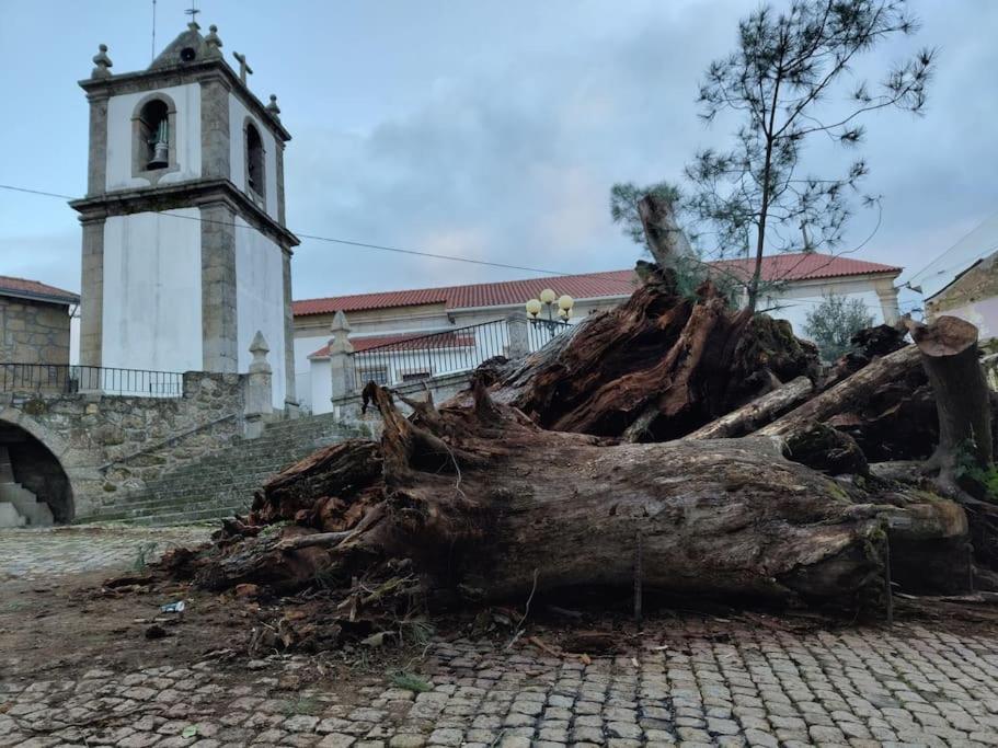 Casa Angulosa โกวิลา ภายนอก รูปภาพ